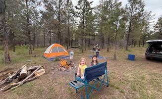 Hannah R.'s photo at Sanborn Rd Powerline Dispersed Camping near Grand Mesa, Uncompahgre and Gunnison National Forests