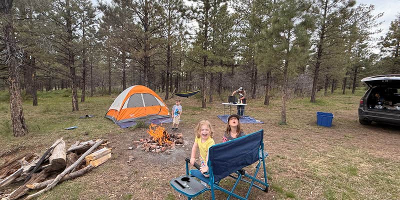 Camper submitted image from Sanborn Rd Powerline Dispersed Camping