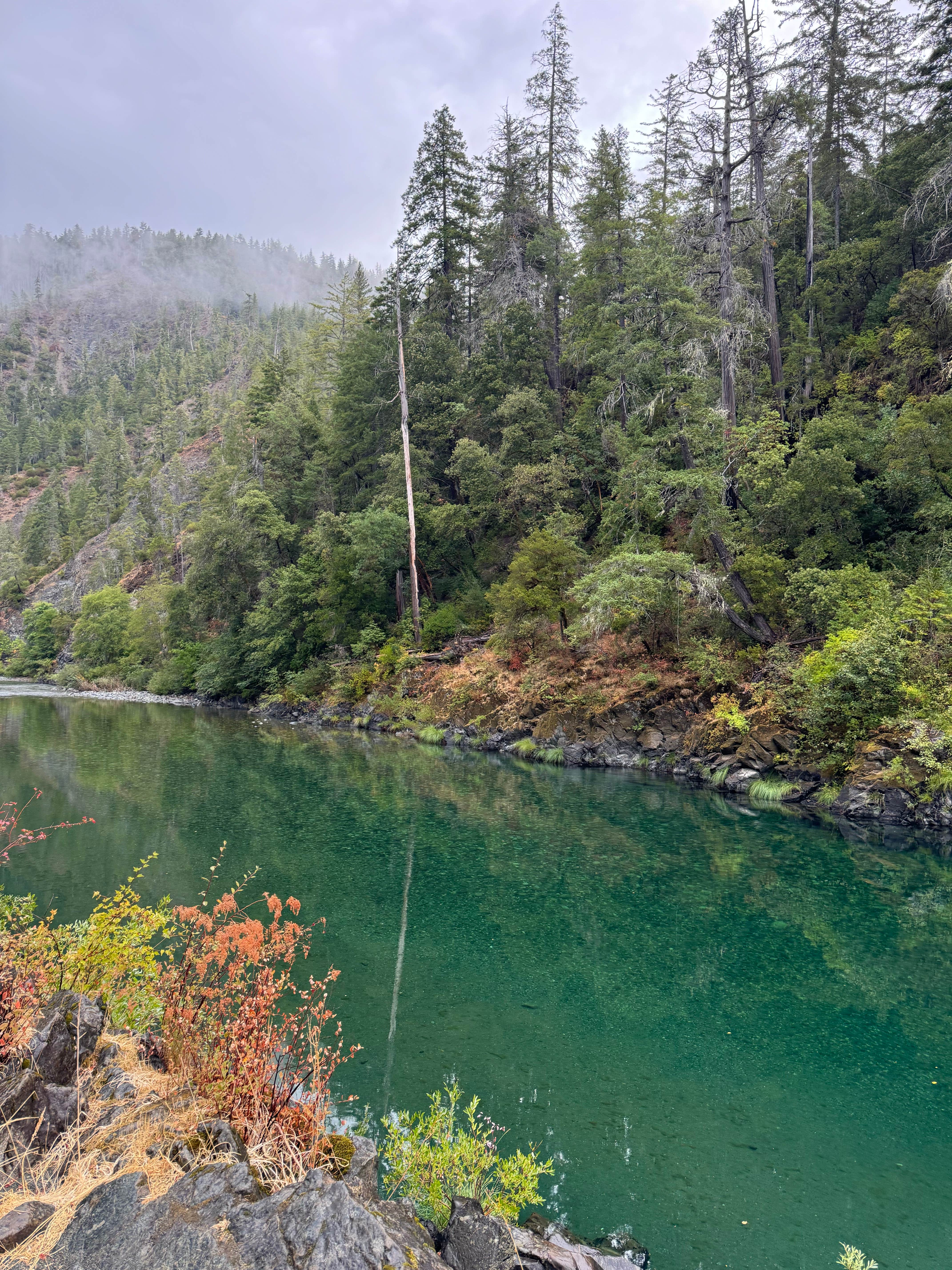 Braxton C.'s photo of a dispersed camping area at Sand Camp - Dispersed near Smith River, CA