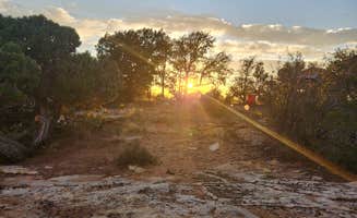 Cas M.'s photo of a dispersed camping area at Sand Canyon near Towaoc, CO