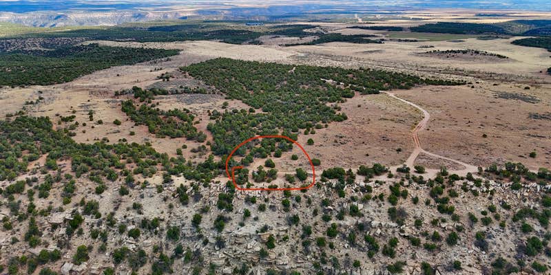 Camper submitted image from Sand Canyon