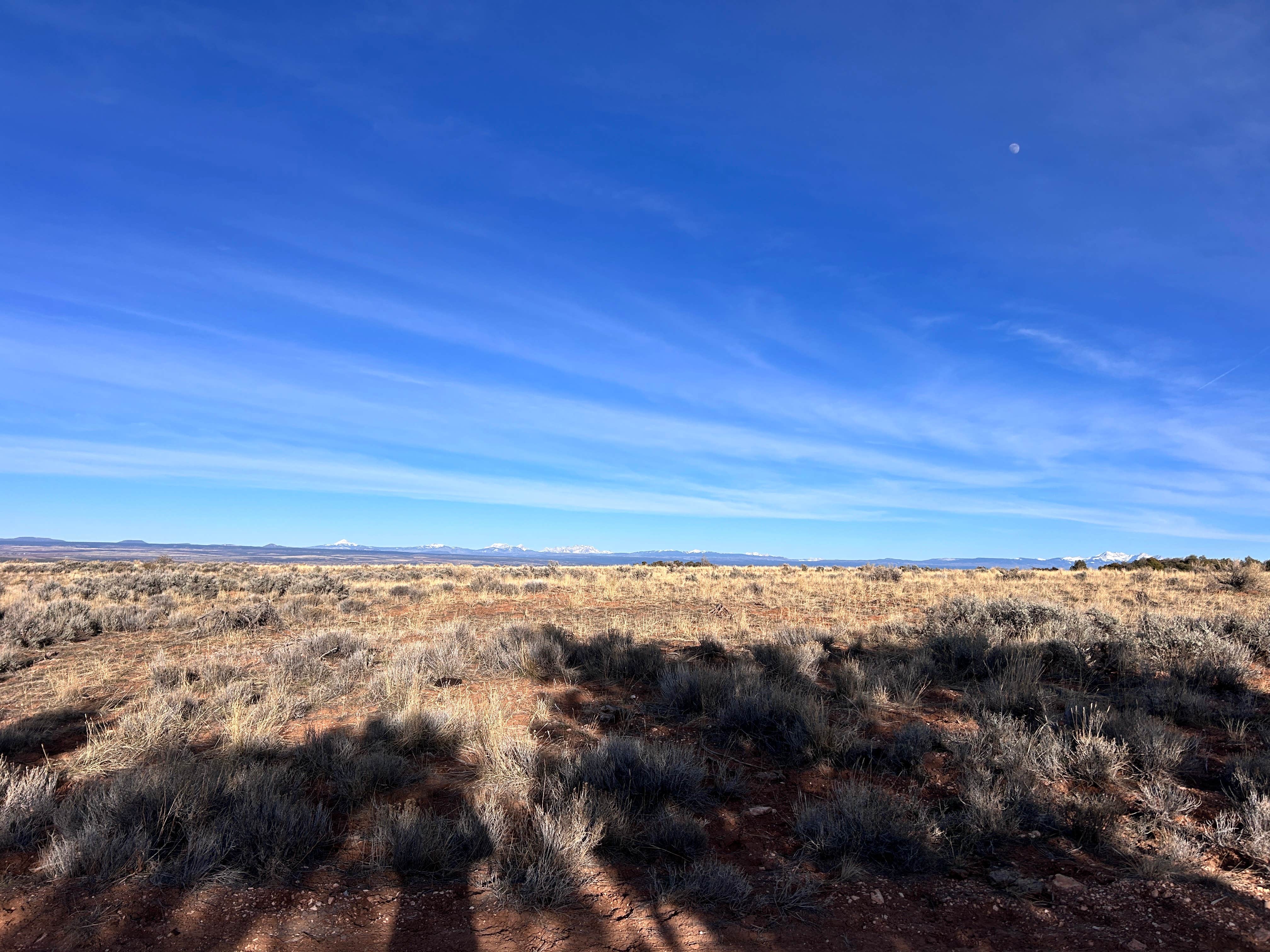 Camper-submitted photo at Sand Canyon near Towaoc, CO