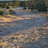 Review photo of Sand Canyon by Renae G., June 10, 2026