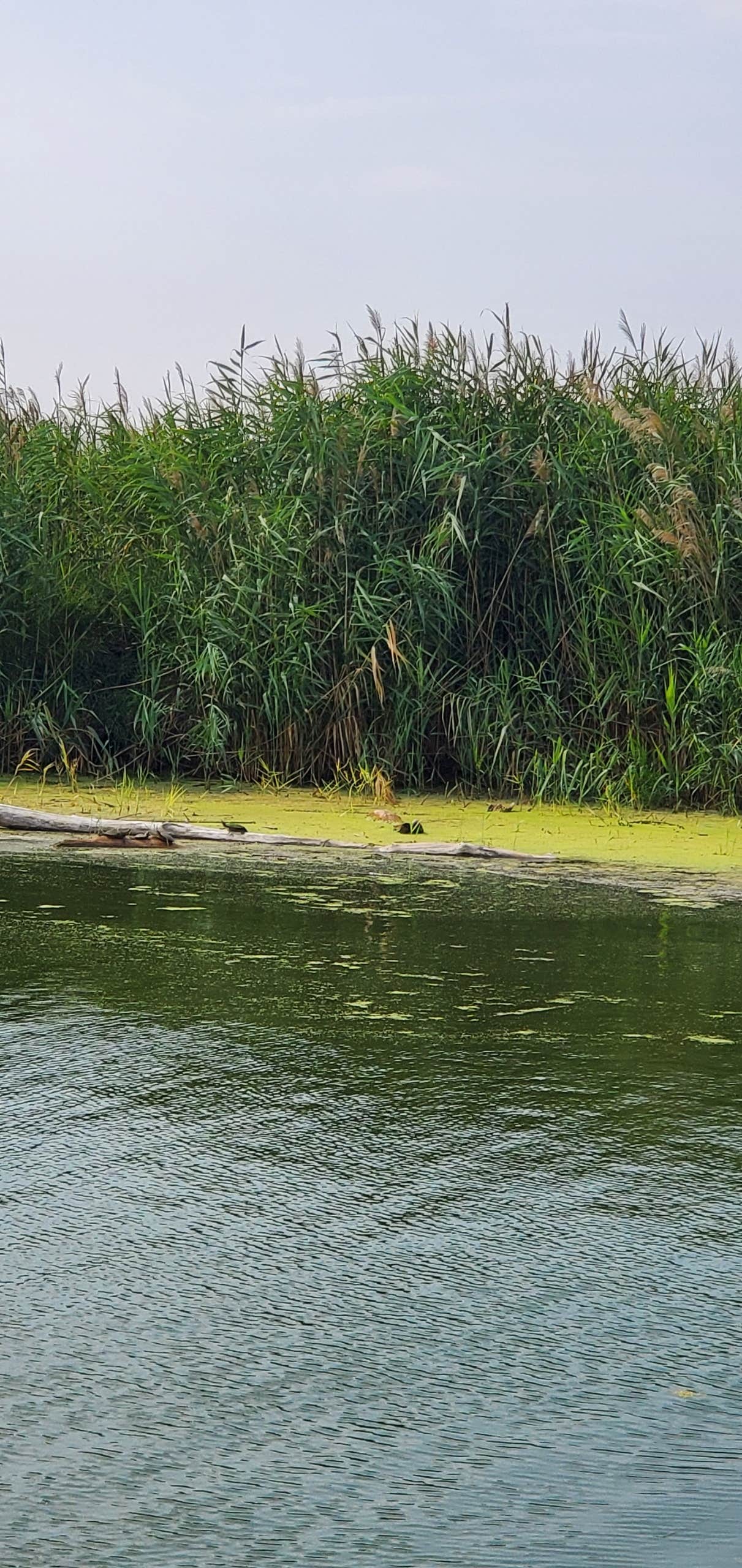 Camper-submitted photo at Sand Creek Recreation Area near Niobrara, NE