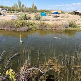 Review photo of Sand Dunes Recreation by Matthew C., May 18, 2026