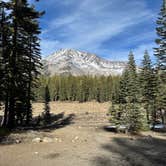 Review photo of Sand Flat Wild Camping by David G., November 7, 2025