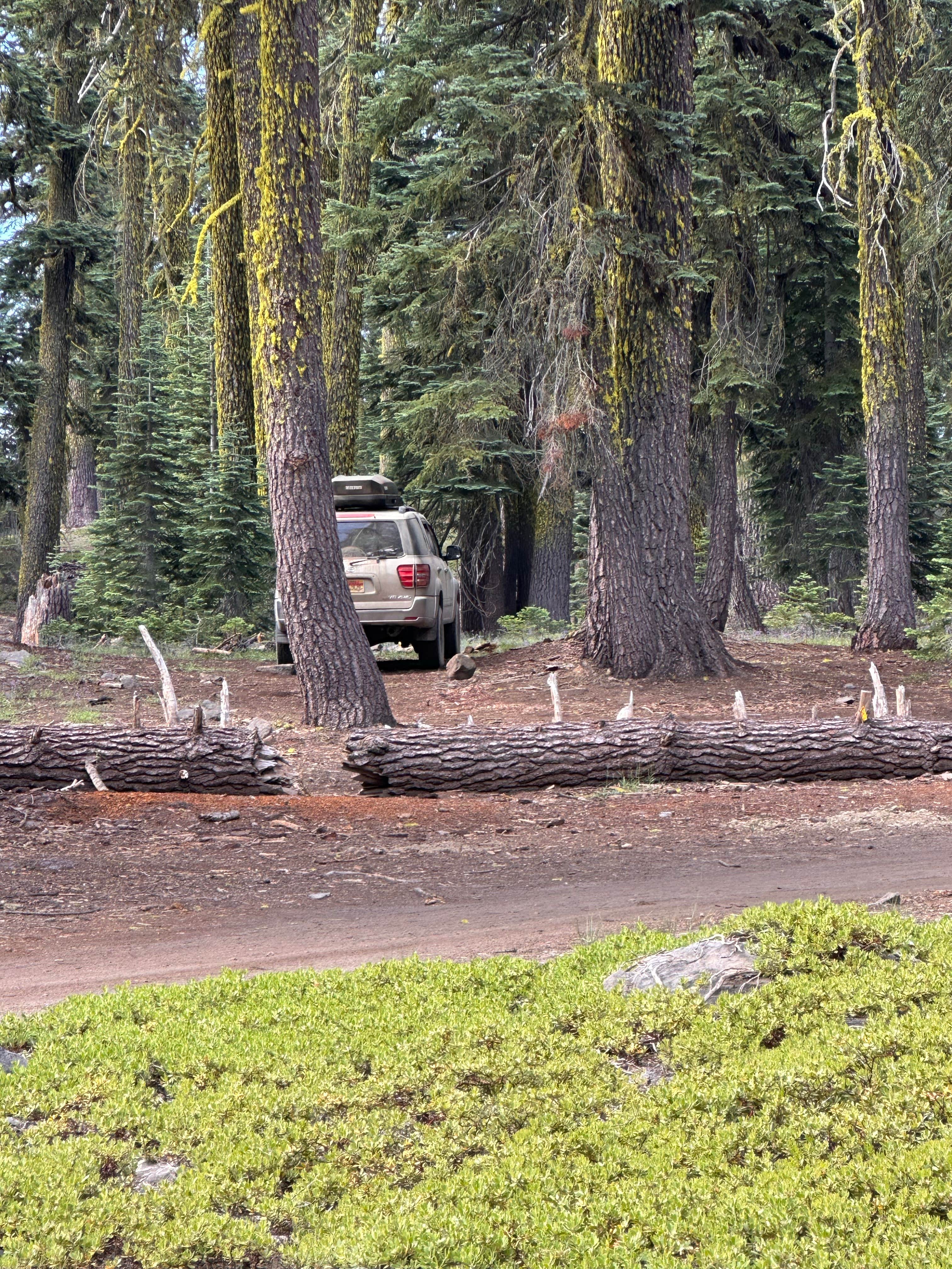 Camper submitted image from Sand Flat Wild Camping - 2