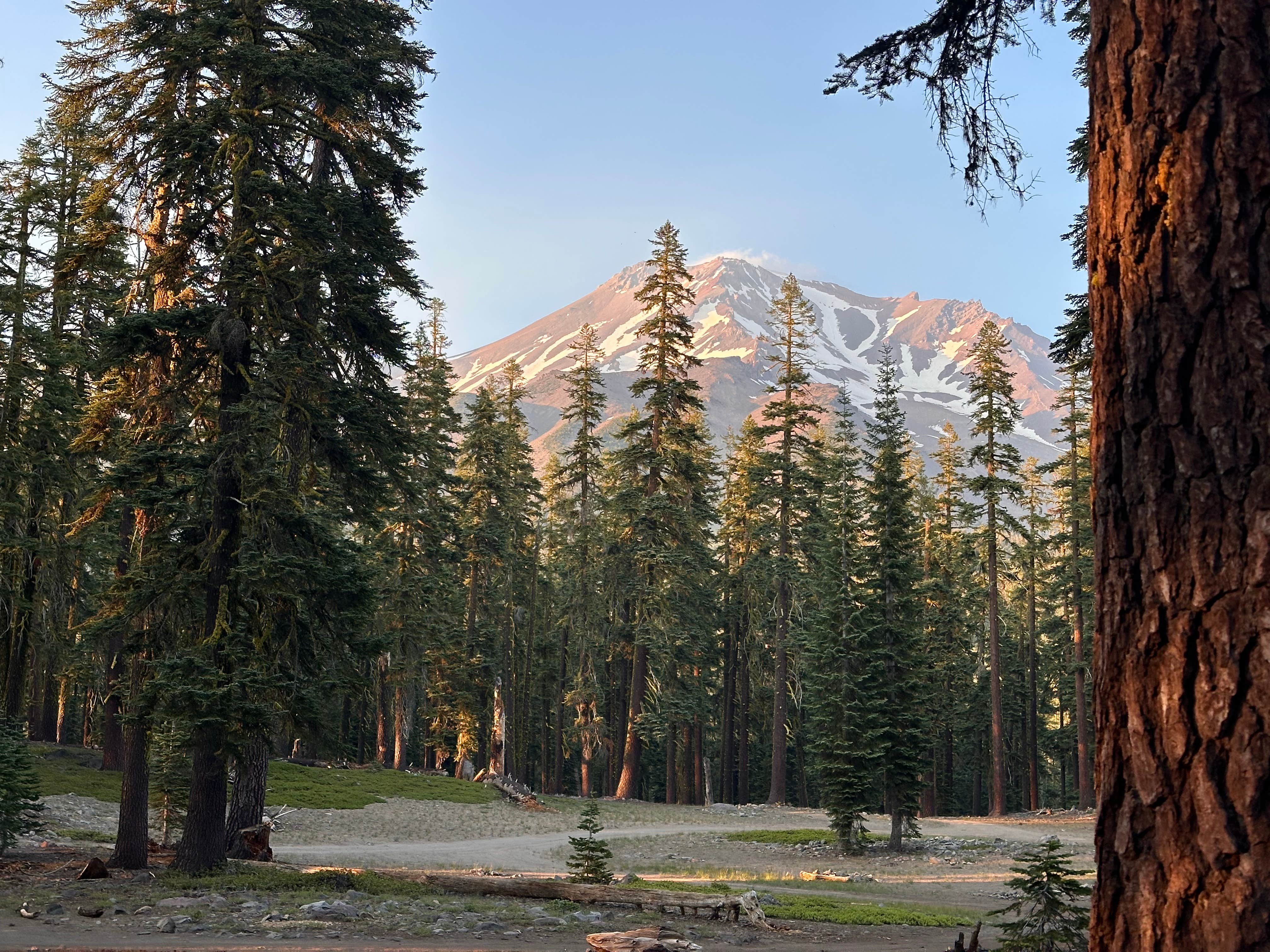 Camping near Mount Shasta City KOA Holiday: Sand Flat Wild Camping, Mount Shasta, California