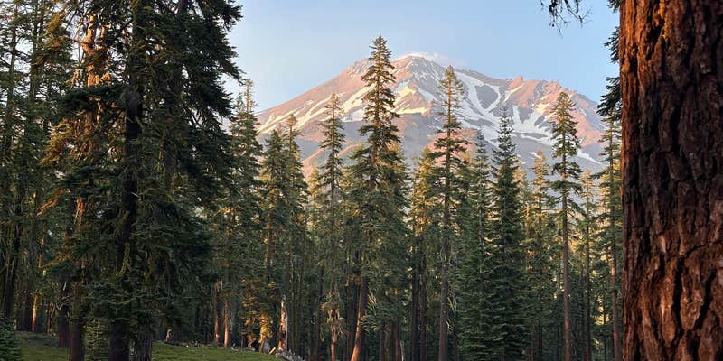 Camper submitted image from Sand Flat Wild Camping