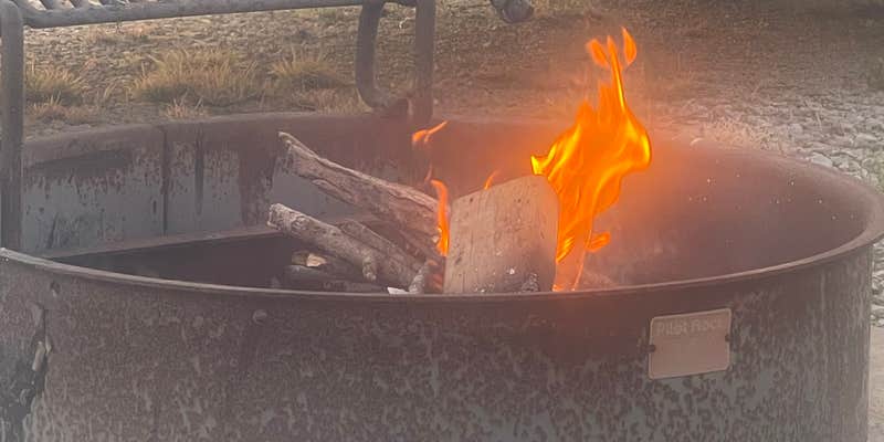 Camper submitted image from Sand Hills State Park Campground