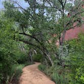 Review photo of Sand Island Recreation Area — Bears Ears National Monument by Lety , May 6, 2025