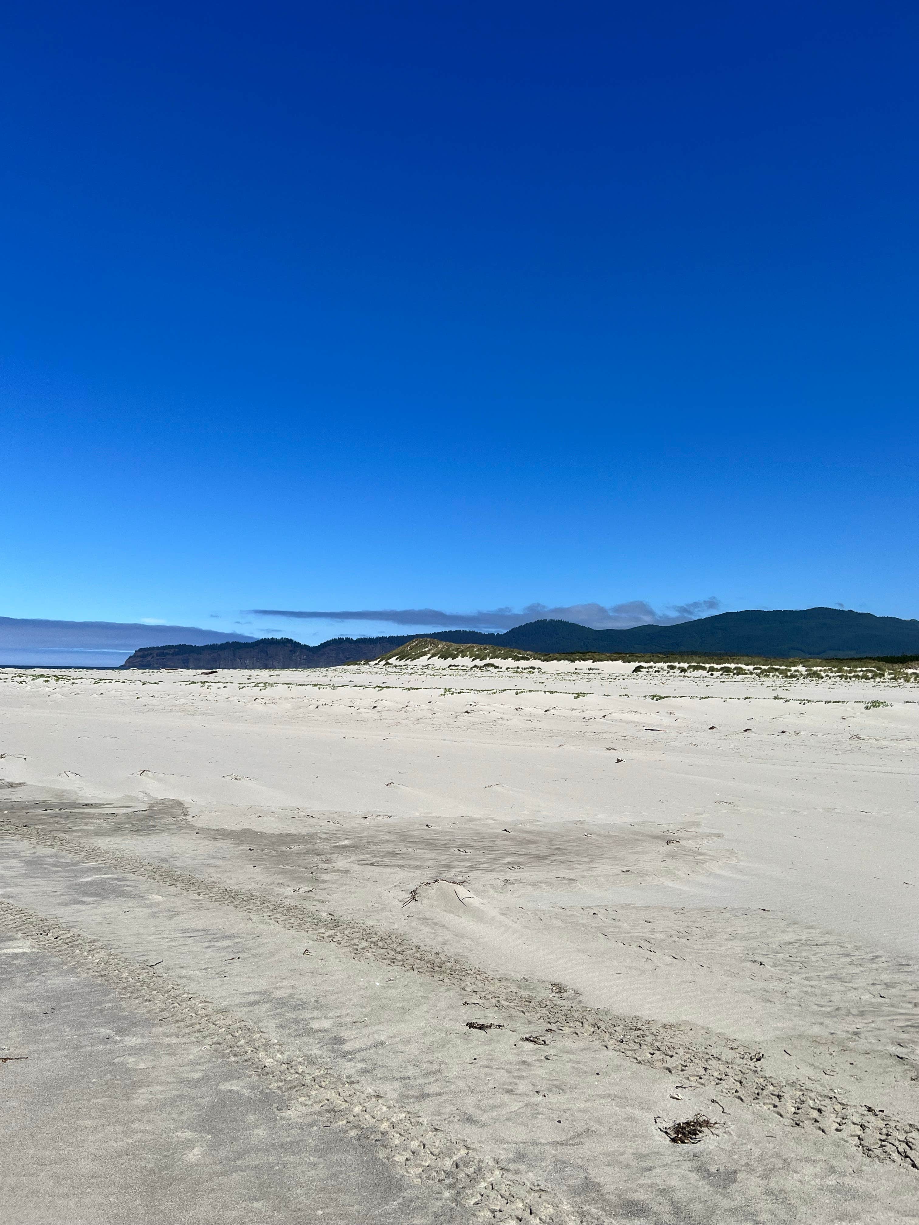 Camper submitted image from Sand Lake Recreation Area - 1