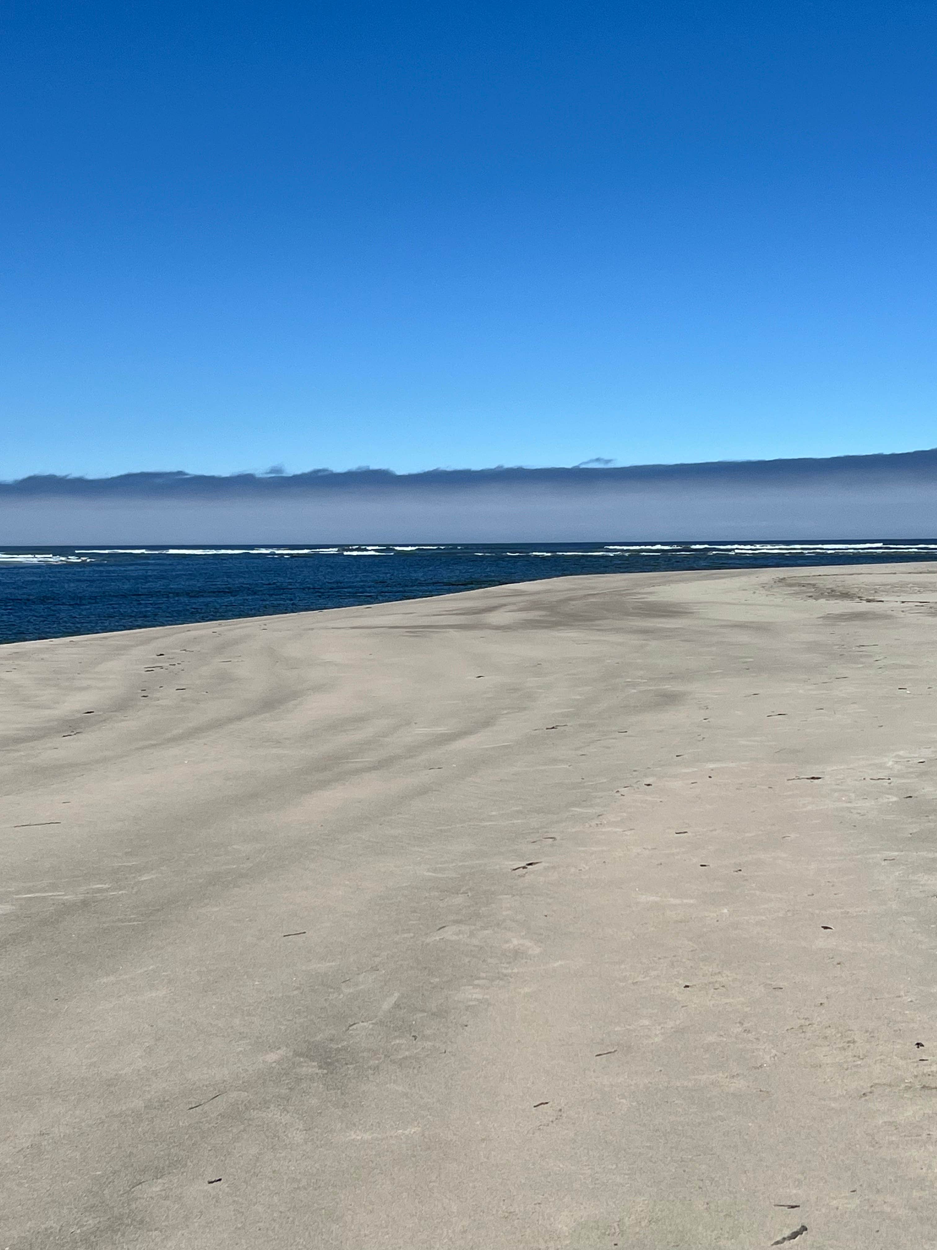 Camper-submitted photo at Sand Lake Recreation Area near Netarts, OR