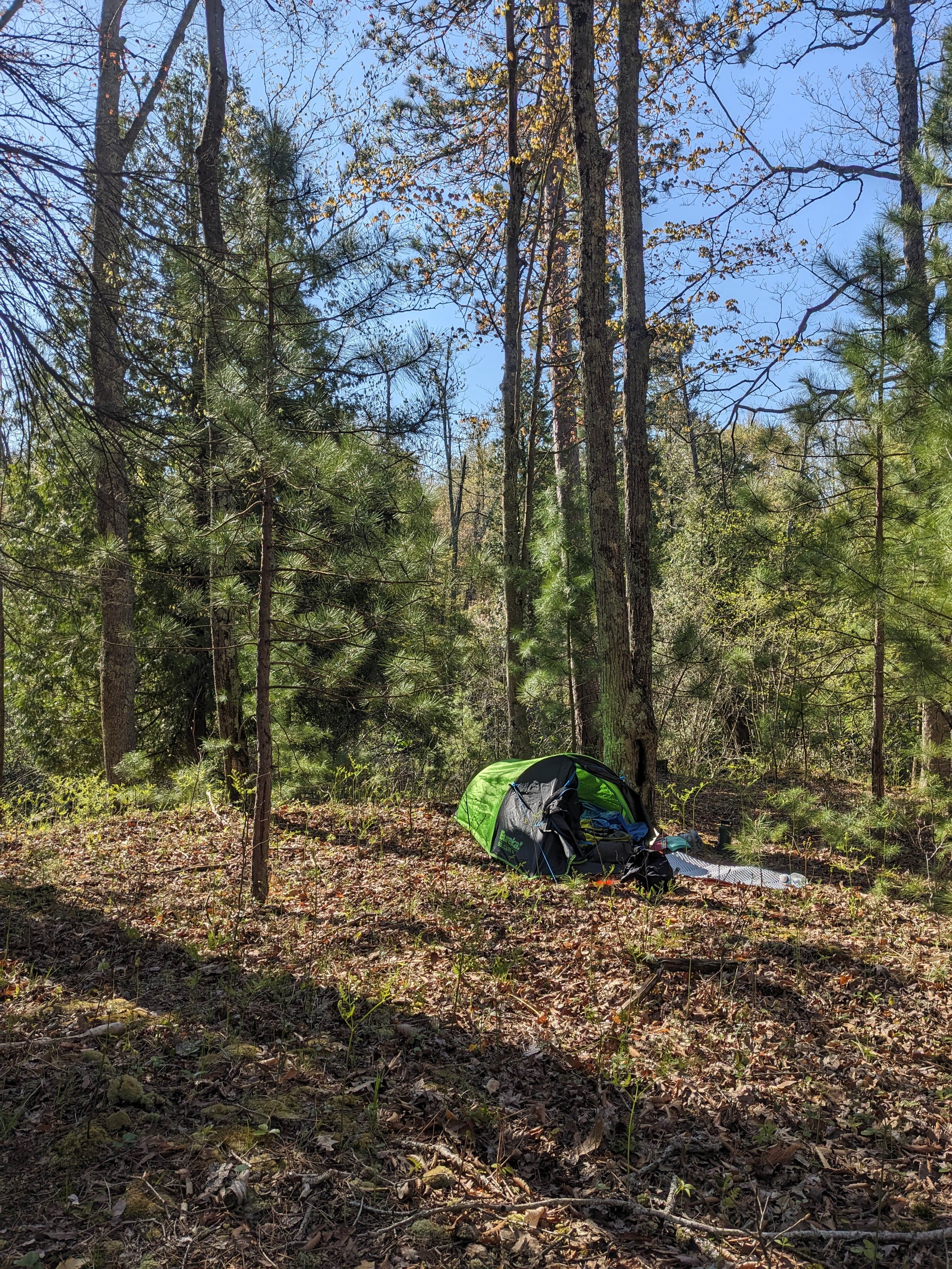 Camper-submitted photo at Sand Road Primitive Rustic Camping near Ludington, MI