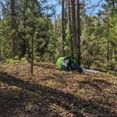 Review photo of Sand Road Primitive Rustic Camping by Degen G., May 13, 2025