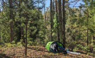 Degen G.'s photo at Sand Road Primitive Rustic Camping near Holton, MI