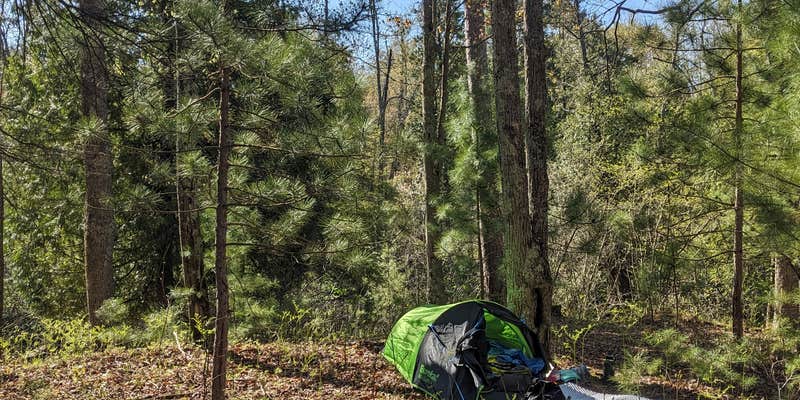 Camper submitted image from Sand Road Primitive Rustic Camping