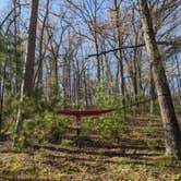 Review photo of Sand Road Primitive Rustic Camping by Degen G., May 13, 2025