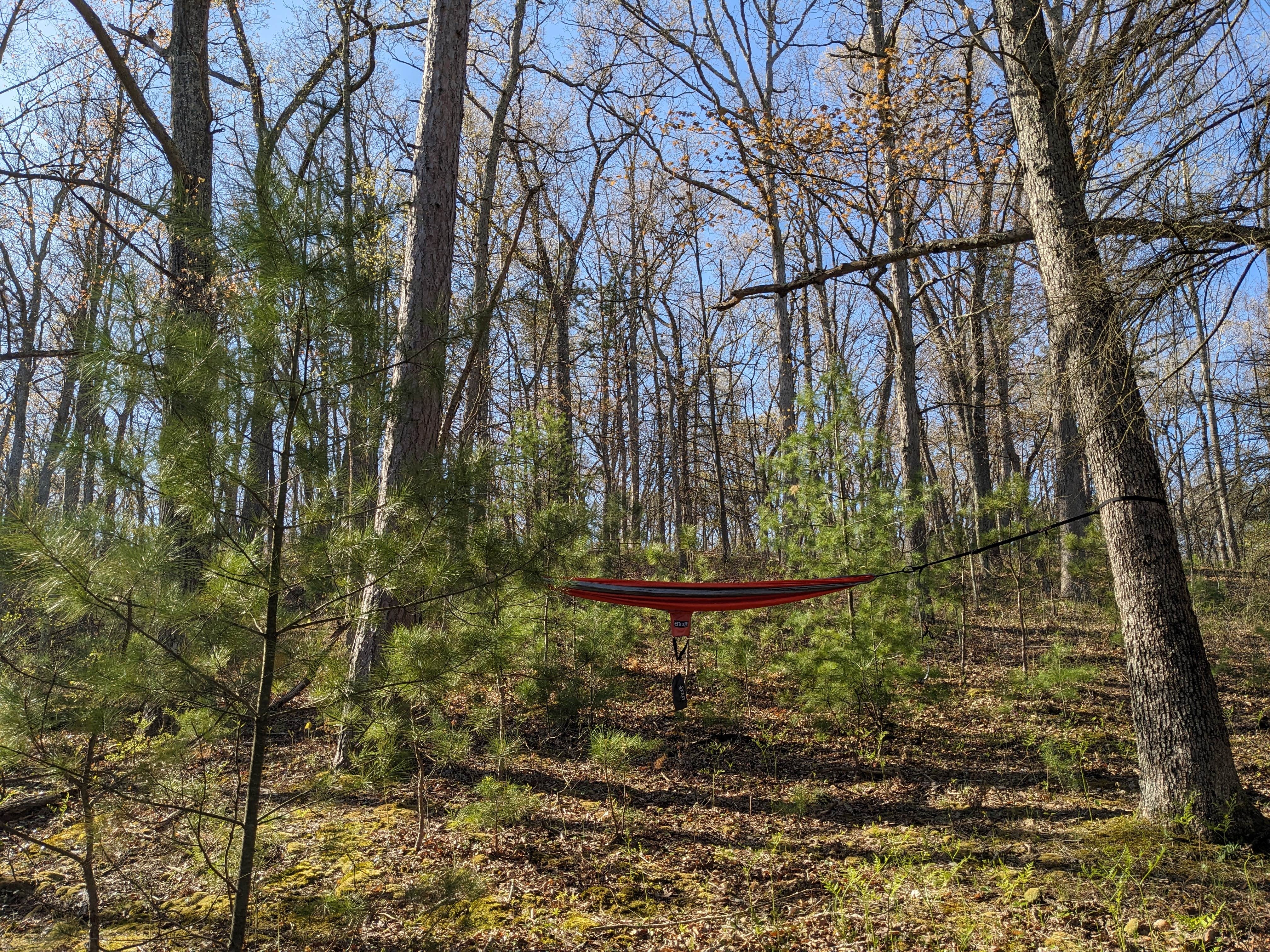 Camper submitted image from Sand Road Primitive Rustic Camping - 5