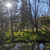 Review photo of Sand Road Primitive Rustic Camping by Degen G., May 13, 2025