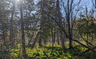 Degen G.'s photo of a dispersed camping area at Sand Road Primitive Rustic Camping near North Muskegon, MI