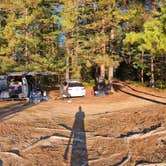 Review photo of Sand Lakes Quiet Area Backcountry Campsites by Roger V., September 26, 2025