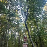 Review photo of Sand Lakes Quiet Area Backcountry Campsites by Maddy T., September 2, 2025