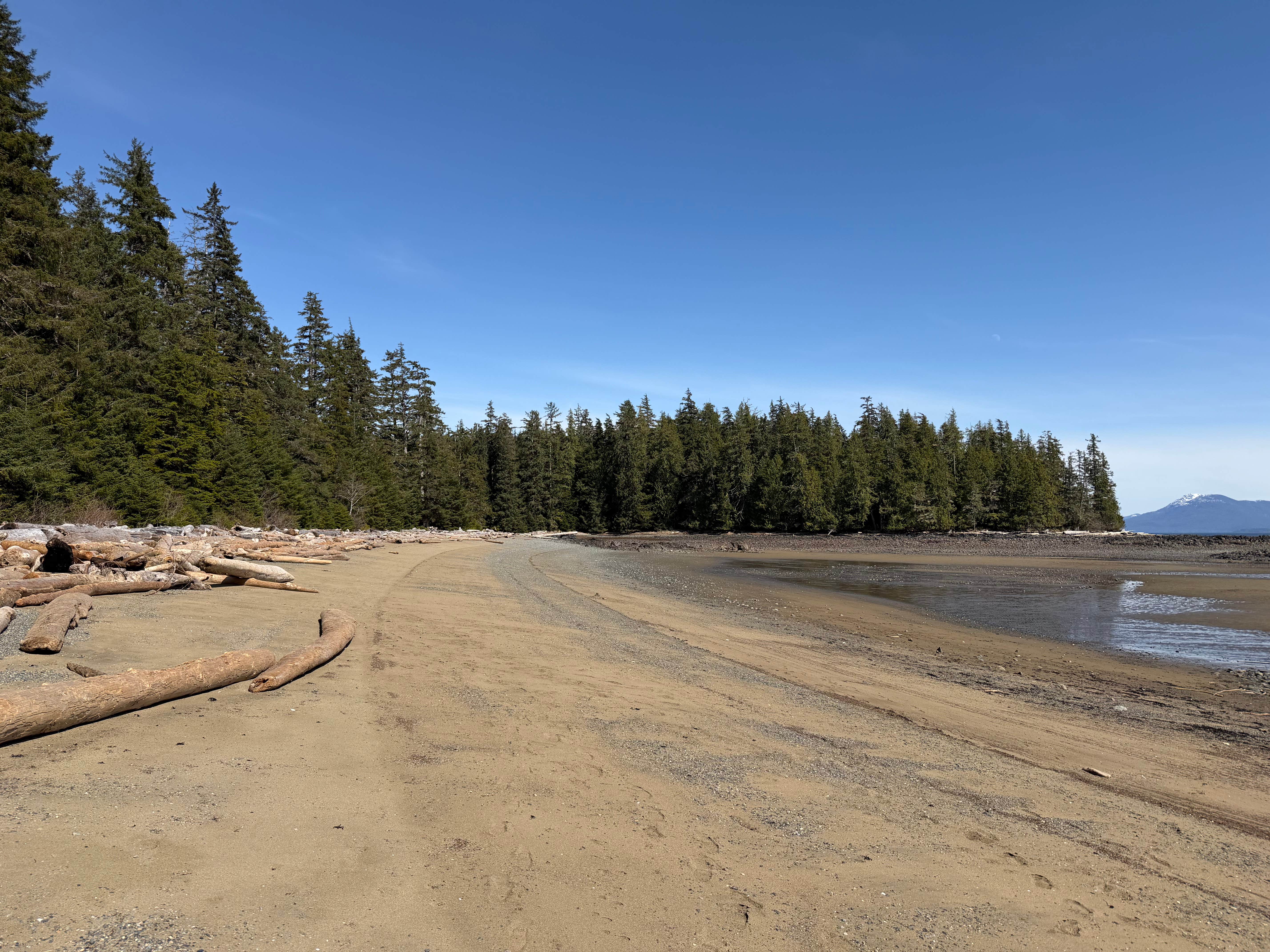 Camper-submitted photo at sandy Beach campground near Ward Cove, AK
