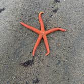 Review photo of sandy Beach campground by Felix D., July 14, 2026