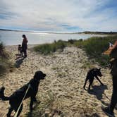 Review photo of Sand Beach campground Oregon coast by Nick B., October 12, 2026