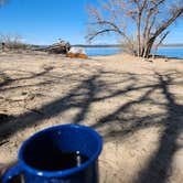 Review photo of Sandy Beach Dune and Willow — Glendo State Park by CarrieIsWhere? P., October 18, 2024