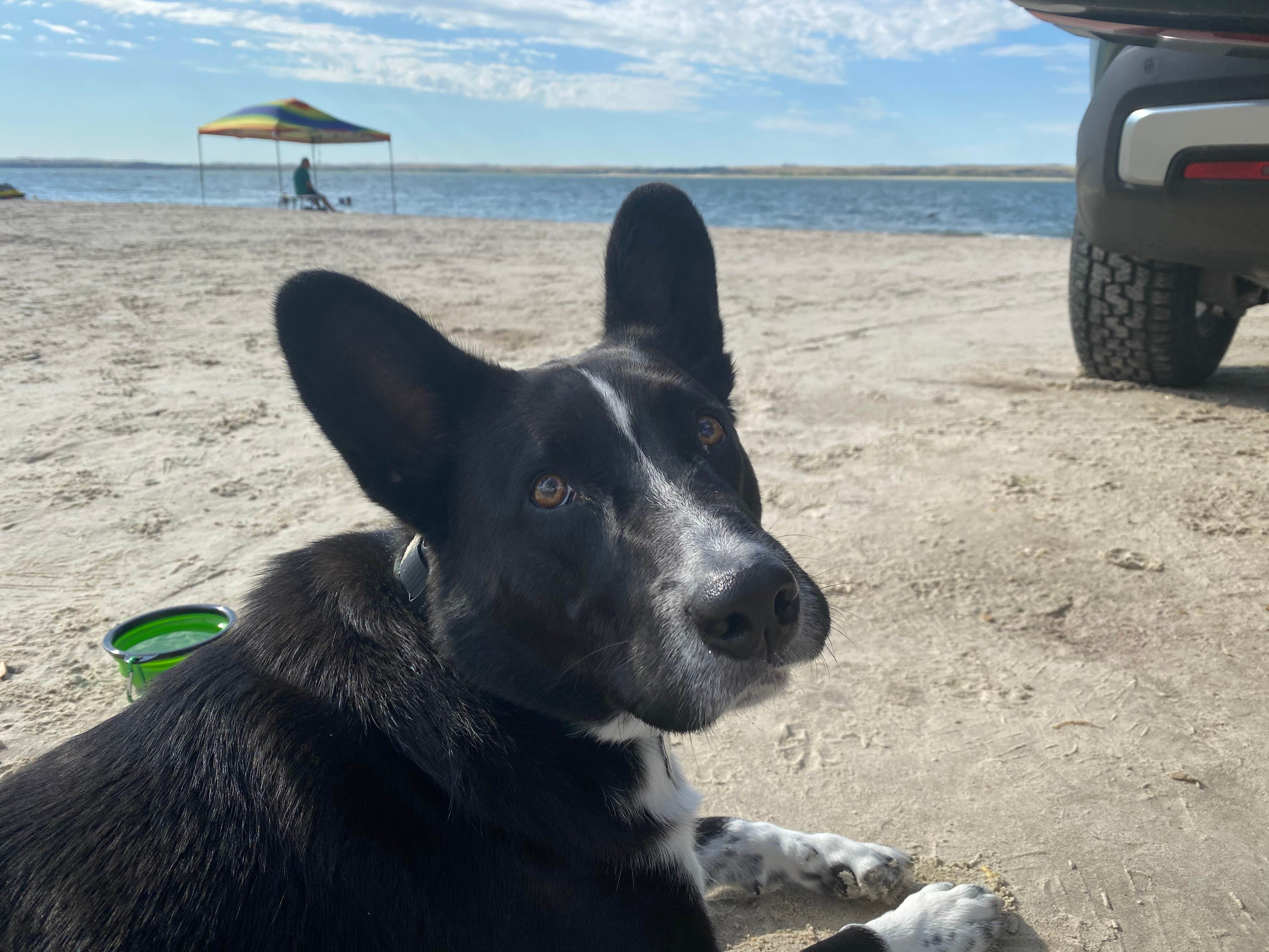 Rico B.'s photo of camping with pets at Sandy Beach Campground — Lake McConaughy SRA near Ogallala, NE