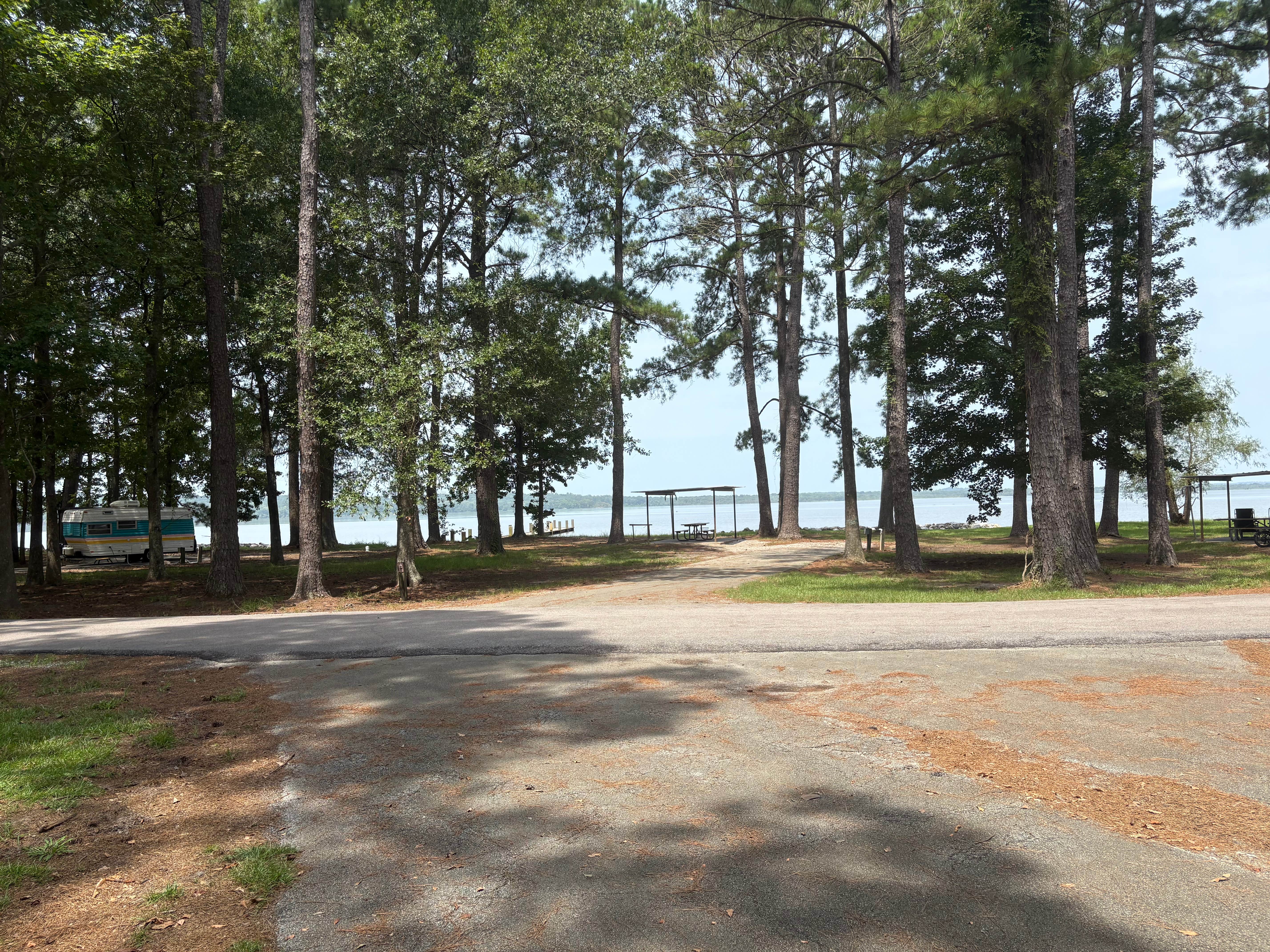 Camper-submitted photo at Sandy Creek - Town Bluff Reservoir near Big Thicket National Preserve