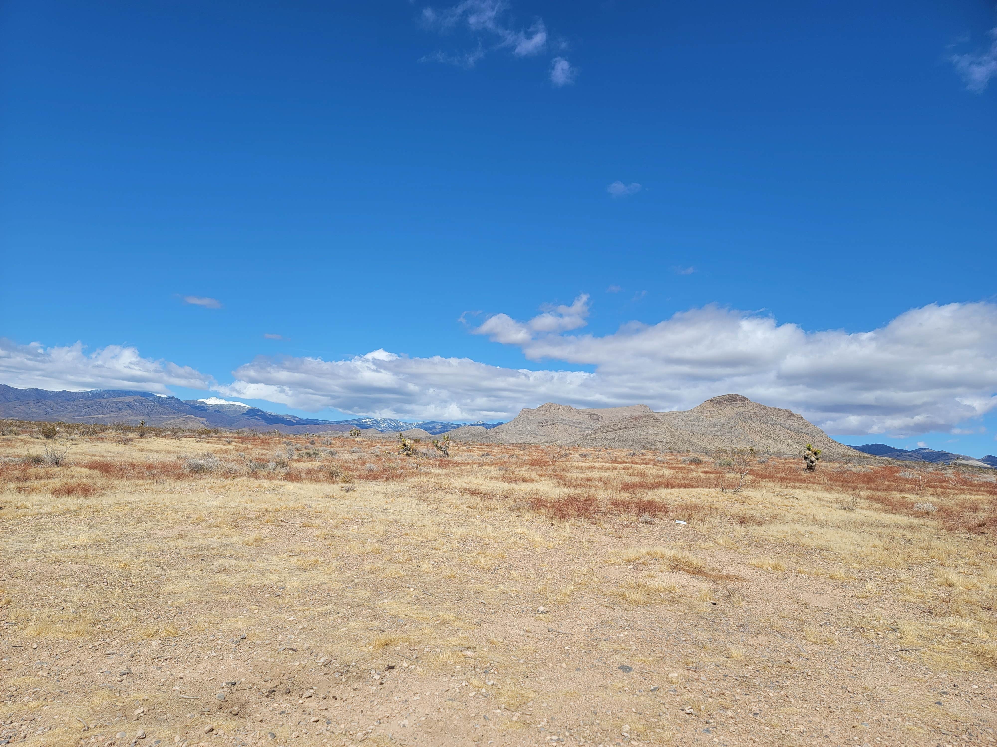 Camping near Red Rock Canyon National Conservation Area - Red Rock Campground: Sandy Valley Road, Blue Diamond, Nevada