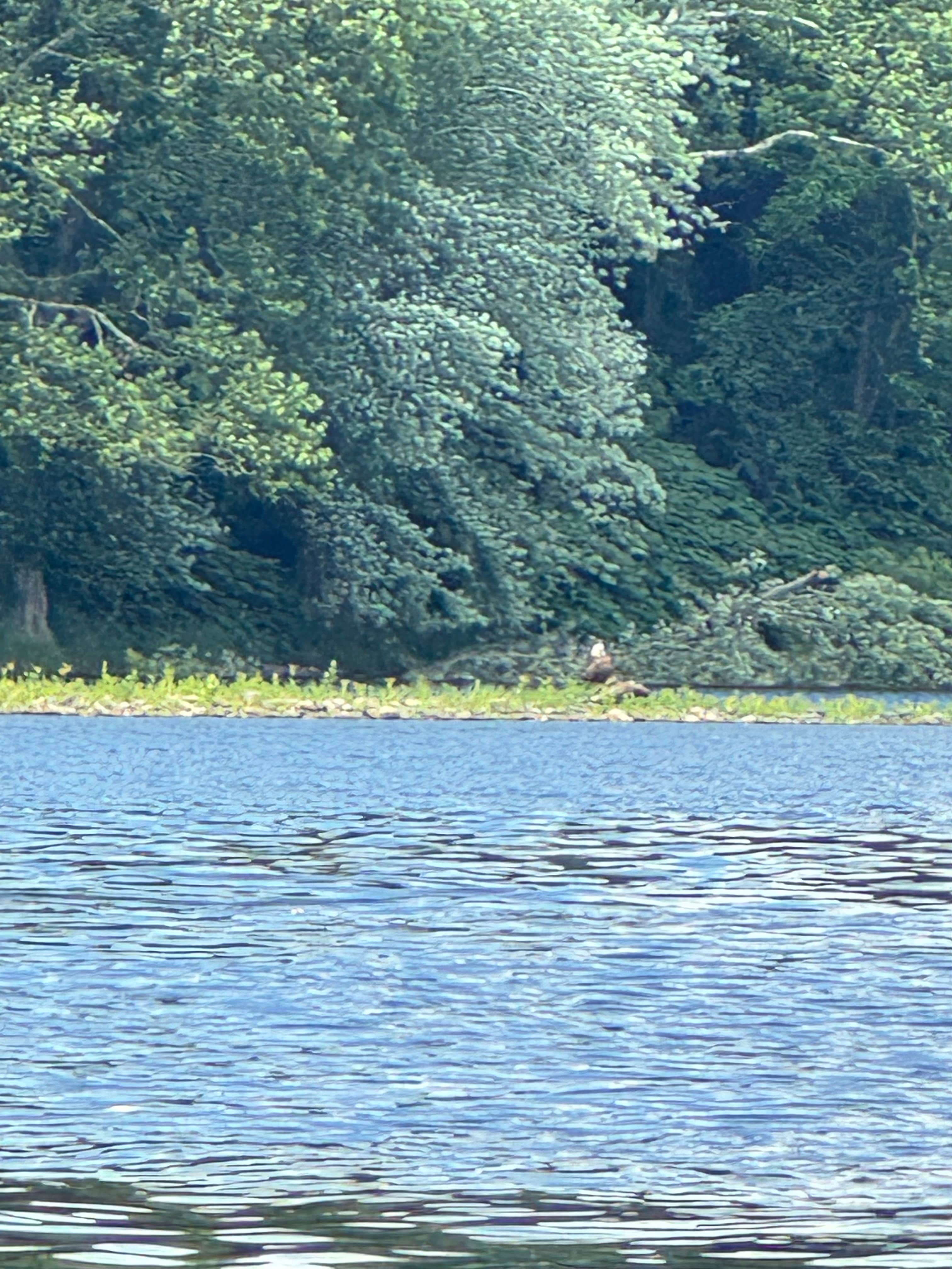Camper-submitted photo at Sandyston Boat In Campsites — Delaware Water Gap National Recreation Area near Wallpack Center, NJ