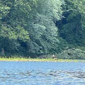Review photo of Sandyston Boat In Campsites — Delaware Water Gap National Recreation Area by Adeline M., April 22, 2025