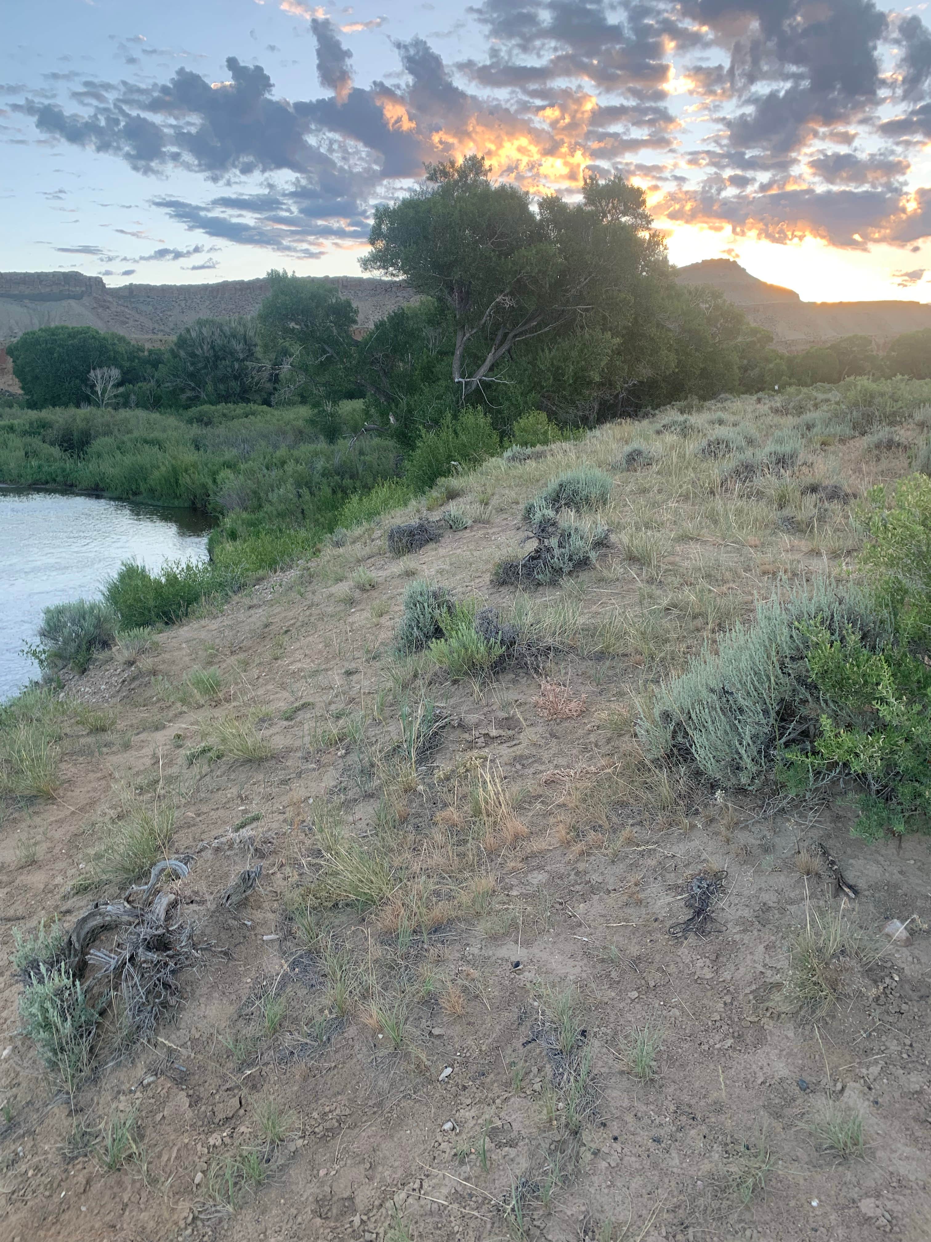 Camper-submitted photo at Sanger Public Access Area on North Platte River near Elk Mountain, WY