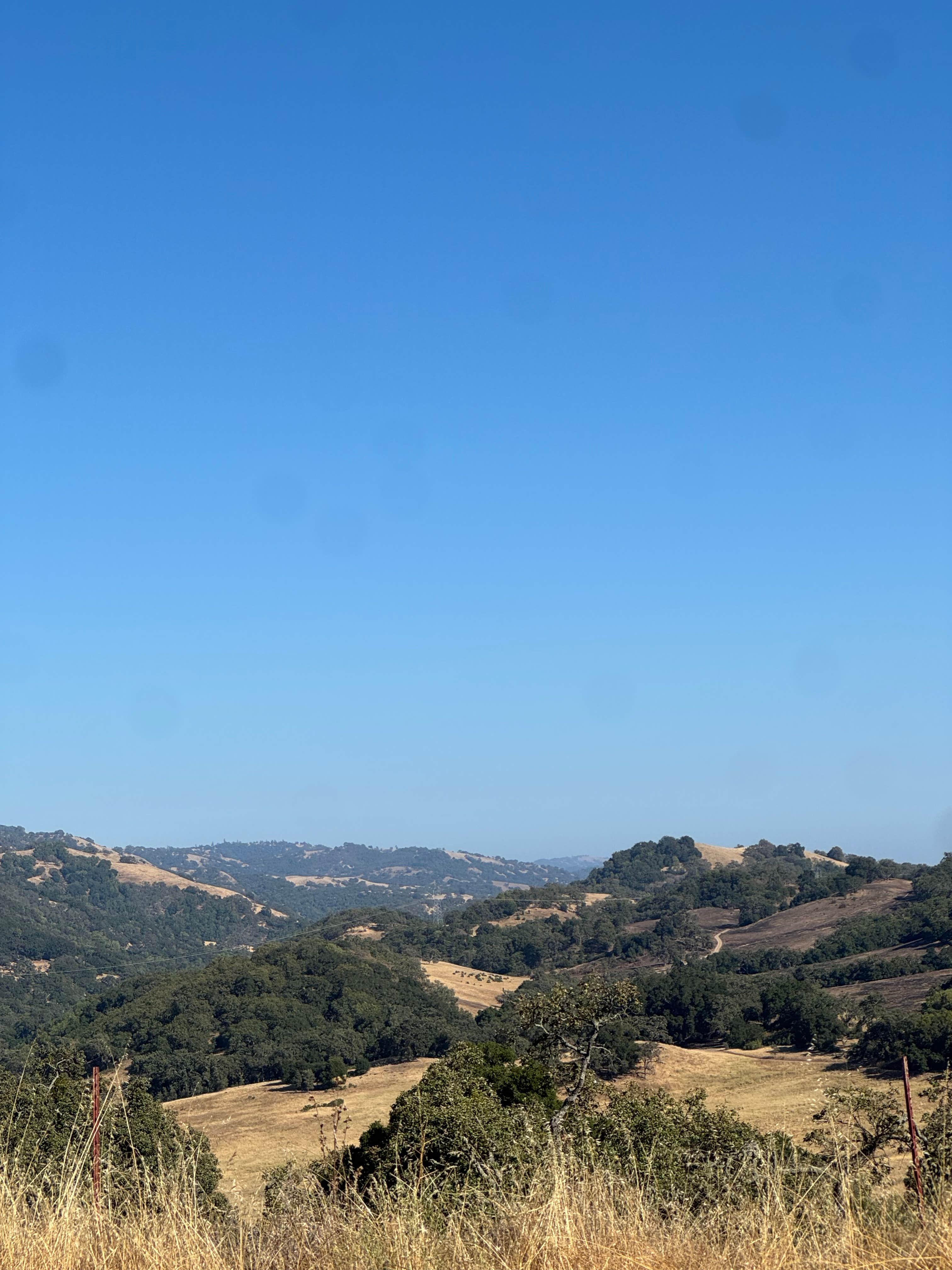 Camper-submitted photo at Joseph D. Grant County Park near Cupertino, CA