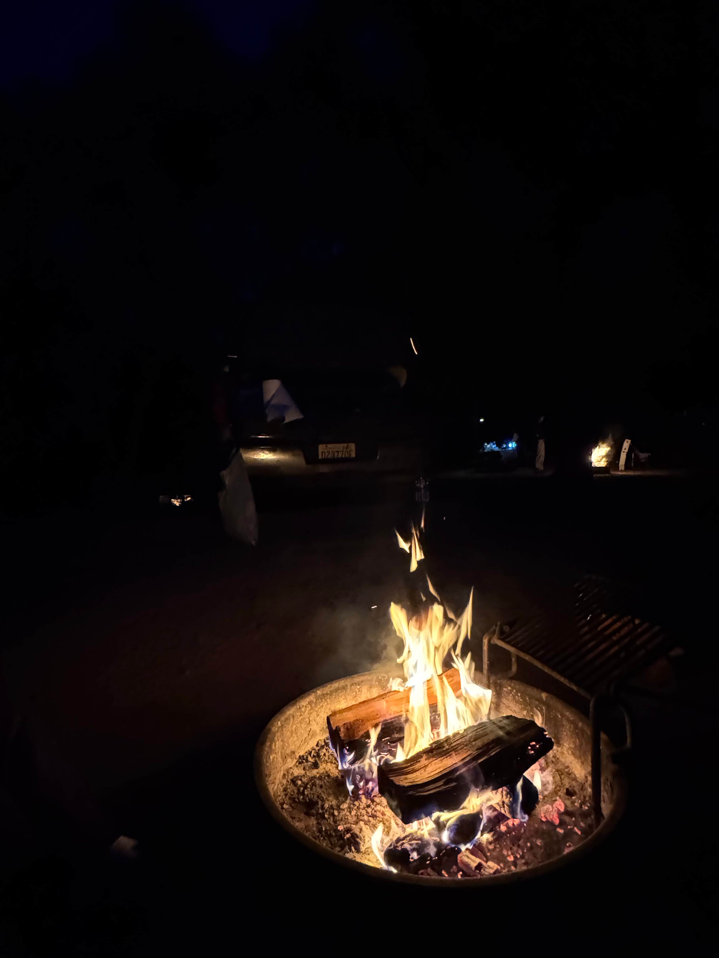 Camper-submitted photo at Joseph D. Grant County Park near Cupertino, CA