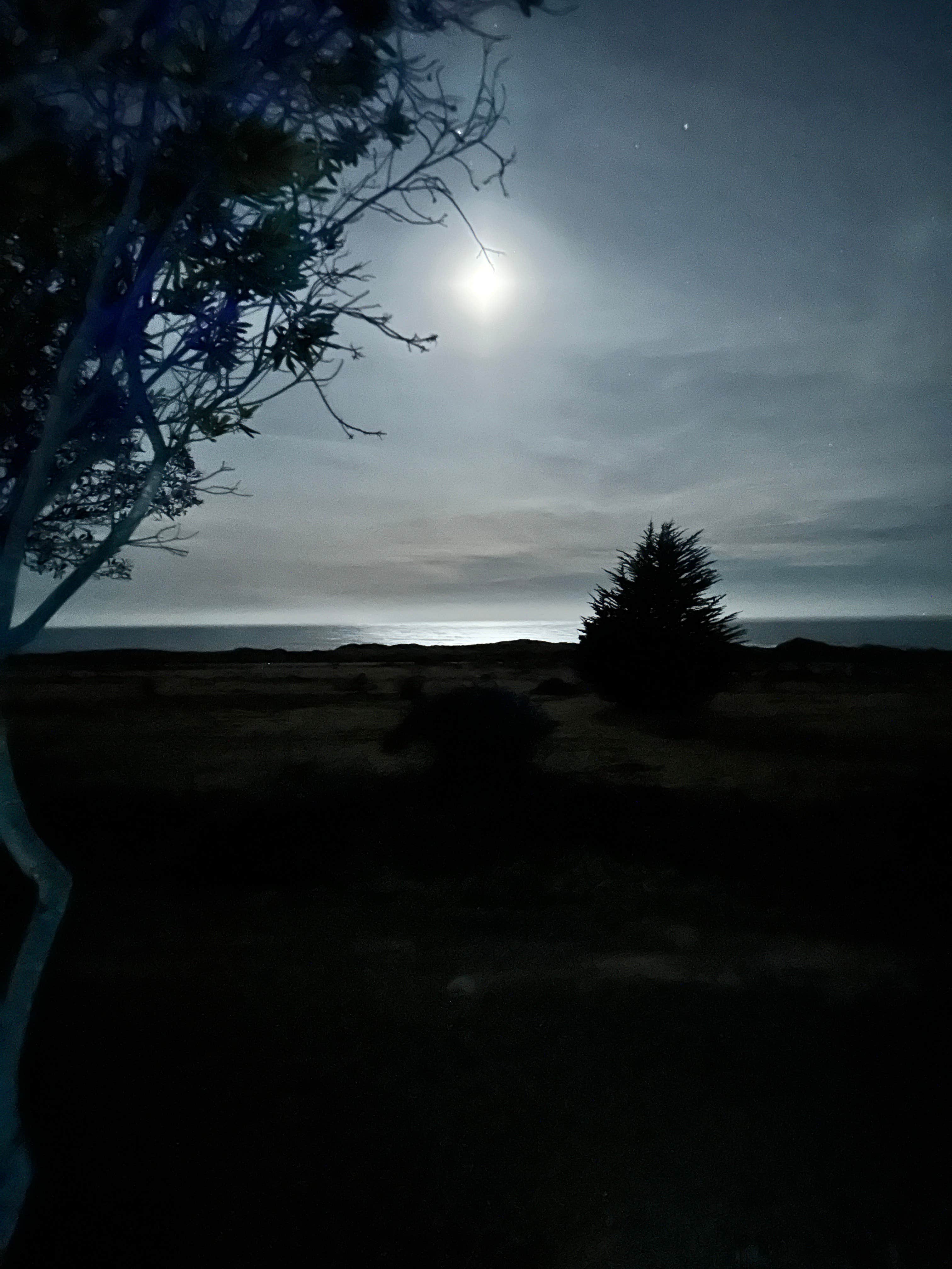 Camper-submitted photo at Santa Cruz North-Costanoa KOA near Soquel, CA