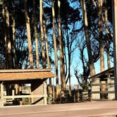 Review photo of Santa Cruz North-Costanoa KOA by Lori L., November 22, 2023