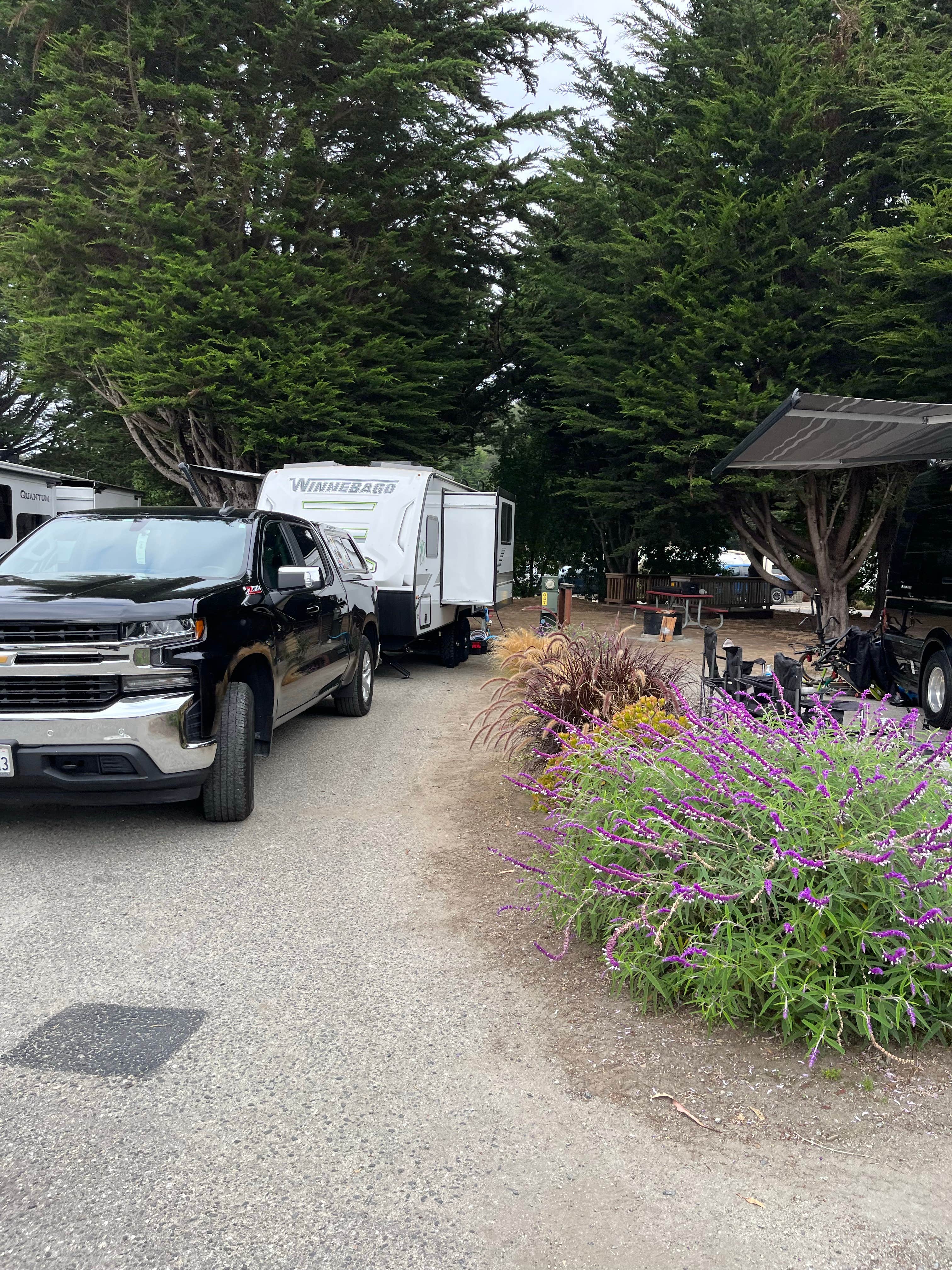 Santa Cruz North Costanoa KOA Camping Pescadero CA The Dyrt