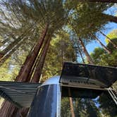 Review photo of Santa Cruz Redwoods RV Resort by Brittany F., August 13, 2025