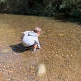 Review photo of Santa Cruz Redwoods RV Resort by Brittany F., August 13, 2025