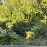 Review photo of Santa Cruz Redwoods RV Resort by Brittany F., August 13, 2025