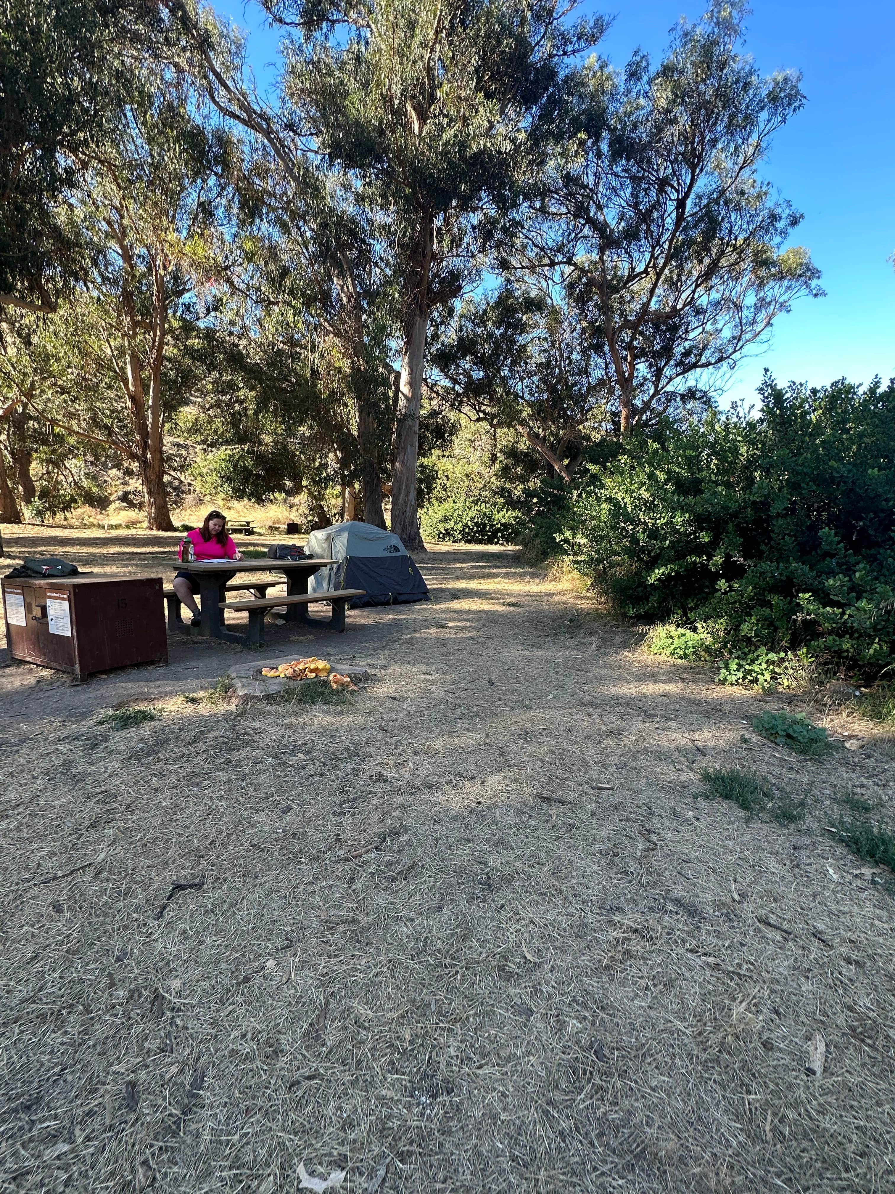 Santa Cruz Island Scorpion Canyon Campground Channel Islands