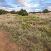 Review photo of Santa Fe BLM Dispersed Campsite by Lynn , June 28, 2026