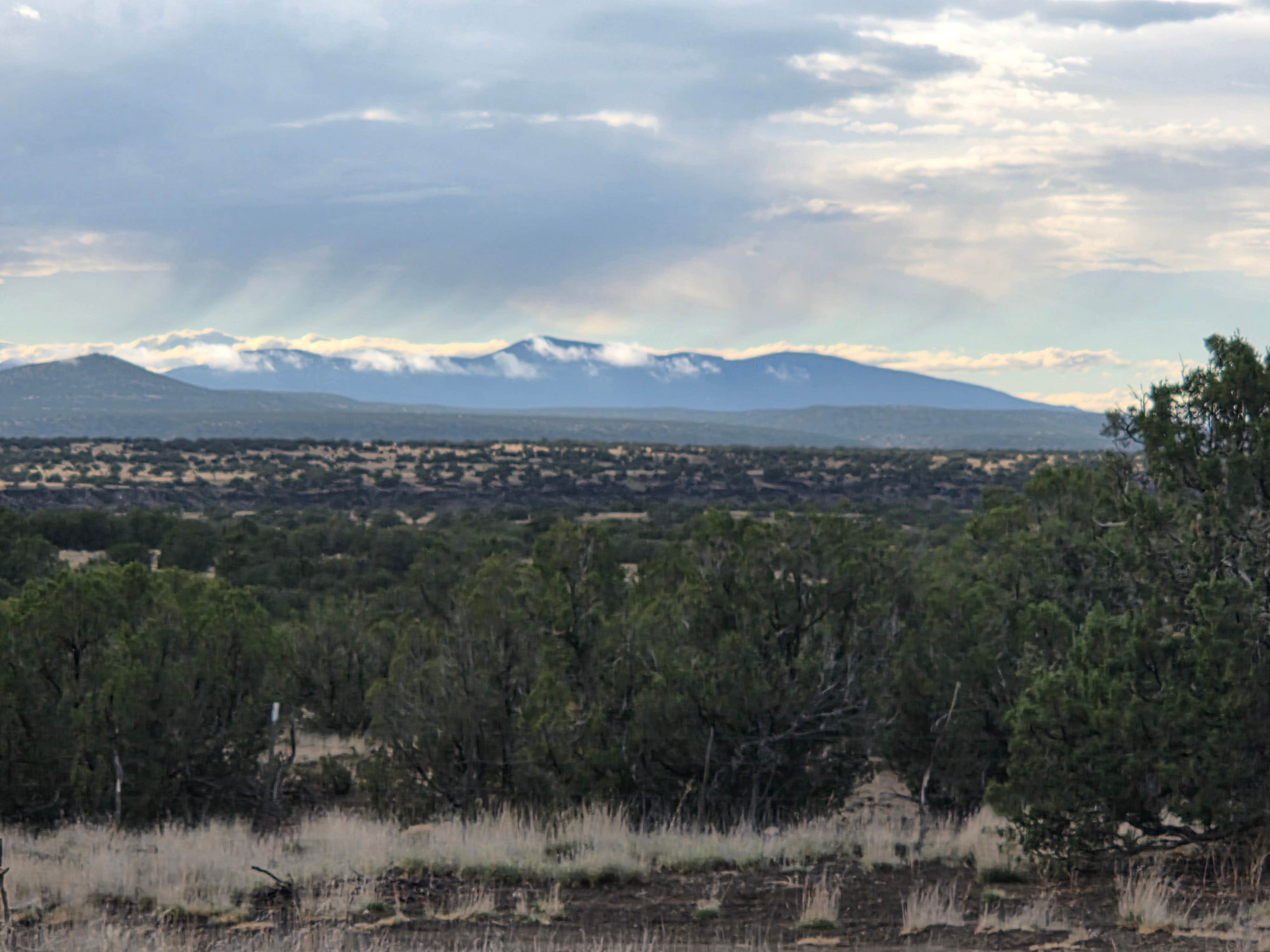 Lynn's photo of a dispersed camping area at Santa Fe BLM Dispersed Campsite near Rowe, NM