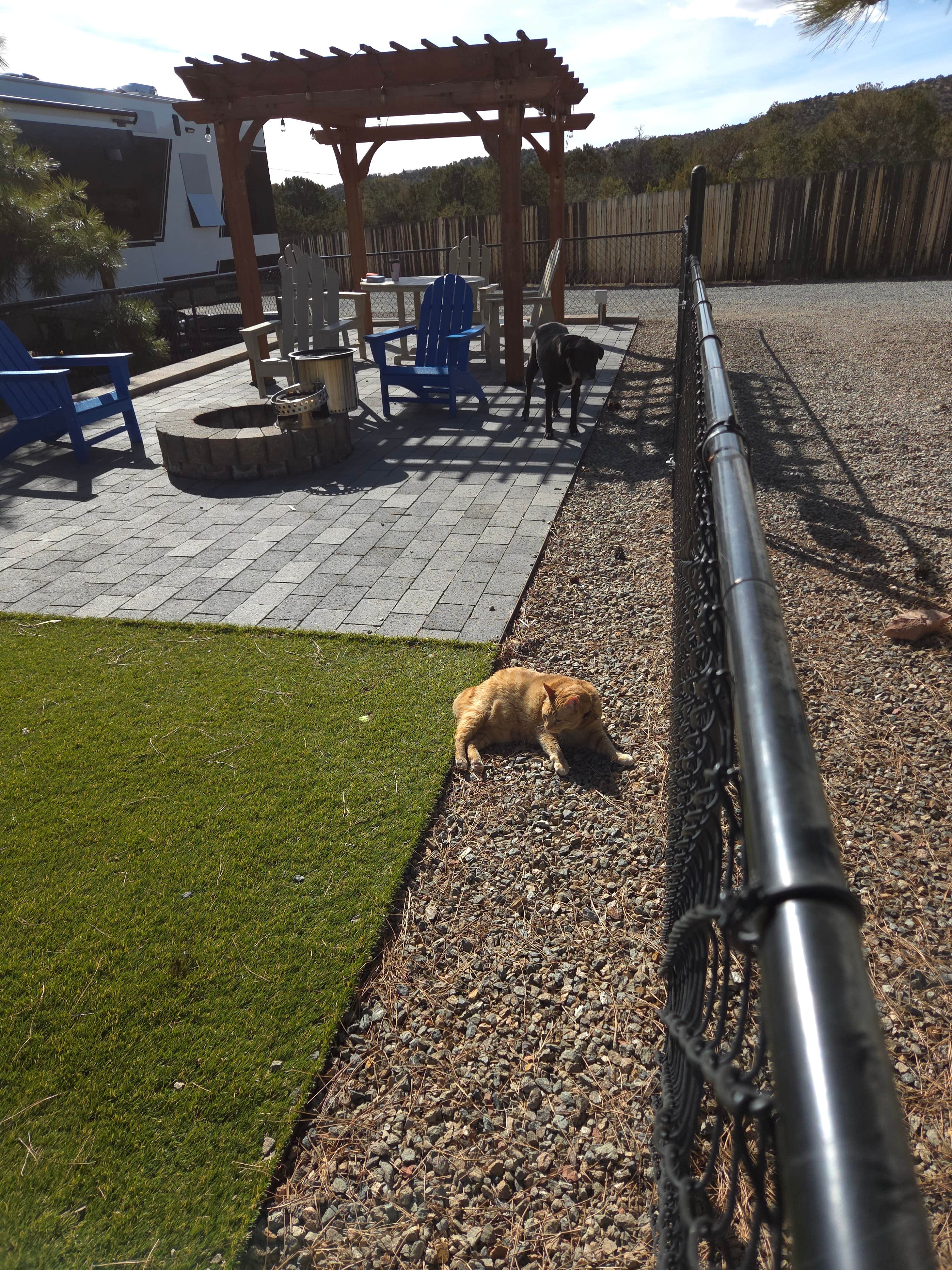 Snooz H.'s photo of camping with pets at Santa Fe KOA near Ribera, NM