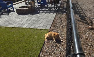 Snooz H.'s photo of camping with pets at Santa Fe KOA near Ribera, NM